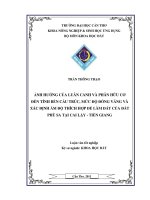  Ảnh hưởng của luân canh và phân hữu cơ đế tính bền cấu trúc, mức độ đóng váng và xác định ẩm độ thích hợp để làm đất của đất phù sa tại Cai Lậy – Tiền Giang