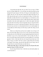 Những biện pháp nâng cao khả năng huy động vốn để phát triển kinh doanh tại Công ty CP SESA Việt Nam.doc