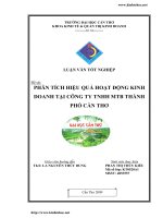Phân tích hiệu quả hoạt động kinh doanh tại công ty TNHH MTB Thành Phố Cần Thơ.pdf