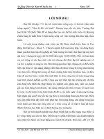 Phân tích hiệu quả kinh doanh tại Công ty Cổ phần Nhà Việt.docx