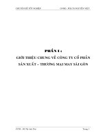 Phân tích báo cáo tài chính tại công ty cổ phần sản xuất – thương mại may garmex sài gòn.doc