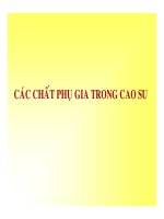 Công nghệ cao su - P5