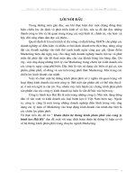 Hoàn thiện hệ thống kênh phân phối của công ty bánh kẹo Hải Hà”