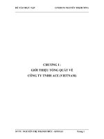 Kế toán tiền lương tại CÔNG TY TNHH ACE (VIETNAM).doc