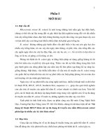  Bước đầu khảo sát mối liên hệ giữa sự hiện diện Trichoderma và các yếu tố của đất