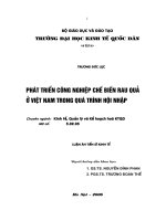 Phát triển công nghiệp chế biến rau quả ở Viêt Nam trong quá trình hội nhập.pdf