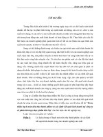 Kế toán doanh thu và xác định kết quả kinh doanh tại Công ty Cổ phần Hà Nam.doc