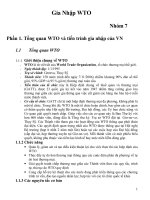 Việt Nam sau khi gia nhập WTO