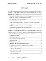 MỘT SỐ GIẢI PHÁP NHẰM NÂNG CAO NĂNG LỰC CẠNH TRANH CỦA CÔNG TY TNHH SẢN XUẤT VÀ THƯƠNG MẠI TÂN Á.doc