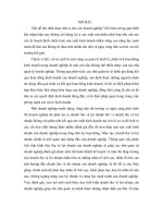 Phân tích tình hình tiêu thụ và lợi nhuận của công ty thương mại dịch vụ Thanh Xuân.doc