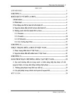 Thực trạng Đô la hoá tại Việt Nam, ảnh hưởng và giải pháp khắc phục.doc