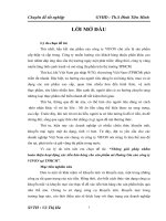 Những giải pháp nhằm hoàn thiện hoạt động xúc tiến bán hàng cho sản phẩm mì Hoàng Gia của công ty VIFON tại TPHCM