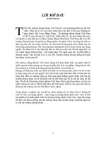 Ứng dụng Option cho thị trường chứng khoán Việt Nam.pdf