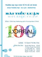 chiến lược marketing quốc tế của tập đoàn L'oréal.pdf