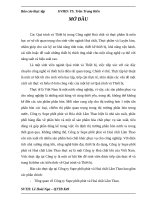 Báo cáo thực tập tại Công ty Supe phốt phát và Hoá chất Lâm Thao.docx