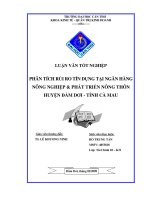 Luận văn tốt nghiệp về rủi ro tín dụng tại Ngân hàng đầu tư và phát triển Cà Mau