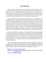 Các biện pháp quản lý cầu dịch vụ giải trí ở nước ta hiện nay.doc