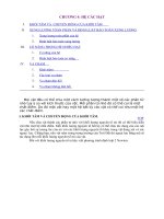 Chương 4: Hệ các hạ