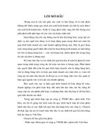 Hạch toán tiêu thụ và xác định kết quả tiêu thụ hàng hoá tại Công ty TNHH Việt Hoa.DOC