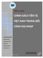 Chính sách tiền tệ của Việt Nam trong bối cảnh hội nhập