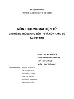 Hệ thống chợ-siêu thị và cửa hàng số tại việt nam.doc