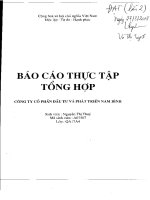 Báo cáo thực tập tại Công ty cổ phần đâu tư và Phát triển Nam Bình.PDF