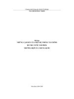 Những cạm bẫy của một hệ thống tài chính do nhà nước chi phối: Trường hợp của trung quốc