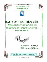 Nghiên cứu sự hài lòng của người tiêu dùng trên địa bàn thành phố Đà Nẵng với sản phẩm bánh mặn AFC của công ty Bánh kẹo Kinh Đô