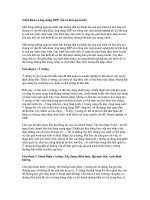 ứng dụng ERP vào trong hệ thống thông tin kế toán (AIS).doc