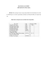 Hãy vận dụng lý luận về ngoại ứng để phân tích tổn thất phúc lợi xã hội do VEDAN gây ra và đưa ra giải pháp can thiệp của chính phủ nhằm xử lý ngoại ứng này