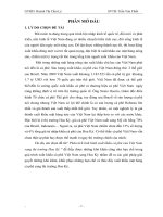 Phân tích tình hình xuất khẩu cà phê của Việt Nam sang thị trường Hoa Kỳ.doc