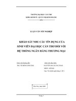 Luận văn tốt nghiệp về tín dụng tại Ngân hàng thương mại