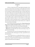 Phân tích hiệu quả hoạt động tại Công ty Cổ phần VINACONEX Đà Nẵng.doc