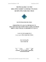 Ảnh hưởng của gia vị, chế độ sấy 