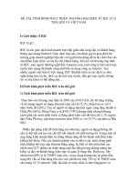 Tình hình phát triển thương mại điện tử b2c của thế giới và việt nam.doc