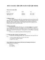 Bài tập lớn ngôn ngữ lập trình