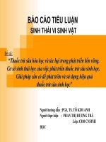 Sinh thái vi sinh vật