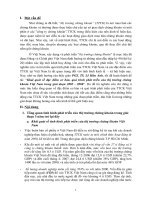 Khái quát về đặc điểm cơ bản, quá trình phát triển của thị trường chứng khoán Việt Nam trong giai đoạn 2005 - 2008