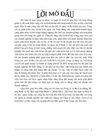 Kế toán nguyên vật liệu và công cụ dụng cụ ở Công ty In Bộ Lao động thương binh và xã hội.DOC