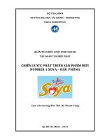 bìa in Chiến lược phát triển sản phẩm mới cho Tập Đoàn Tân Hiệp Phát - Soya đậu phộng