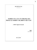 Nghiên cứu cán cân thương mại trong sự nghiệp công nghiệp hóa, hiện đại hóa ở Việt Nam.pdf