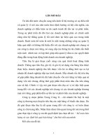 Kế toán bán hàng và xác định kết quả bán hàng tại công ty dược phẩm Trung Ương II- chi nhánh Hà Nội.DOC