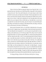 Thực trạng lạm phát tại Việt Nam giai đoạn 2008-2010 và các giải pháp ứng phó trong thời gian tới.doc