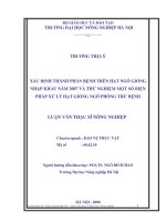 Nghiên cứu nguyên nhân năng suất ngô còn thấp, biện pháp giải quyết năng cao năng suất ngô Việt Nam