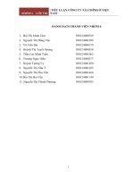 Tình hình hoạt động của các công ty tài chính ở Việt Nam.docx