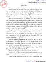 Một số giải pháp nhằm góp phần nâng cao hiệu quả sử dụng vốn tại Công ty đầu tư và phát triển kỹ thuật Việt – Ý