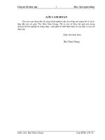 Nâng cao hiệu quả hoạt động cho vay và hoàn thiện nghiệp vụ kế toán cho vay tại ngân hàng NHNo&PTNT (AgriBank) huyện Lục Ngạn.DOC