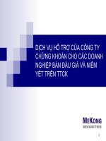 Dịch vụ hỗ trợ của công ty chứng khoán cho các doanh nghiệp bán đấu giá và niêm yết trên thị trường chứng khoán