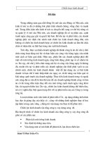 Chiến lược kinh doanh cho Tổng Công ty Xây Dựng Sông Đà.DOC