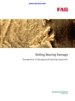 Rolling Bearing Damage